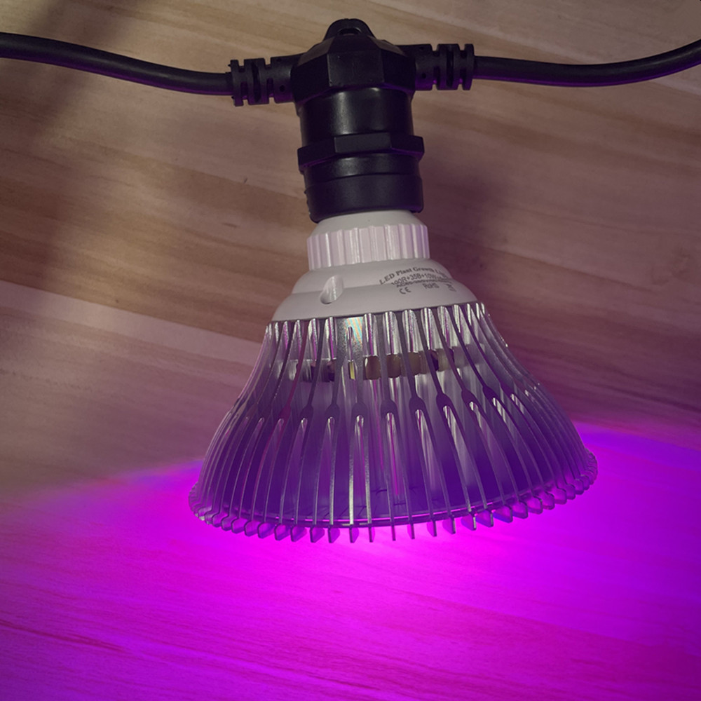 10M 케이블 LED 스트링 조명, 상업용 등급 방수, - Bollard Light Garden 리뷰 및 가격